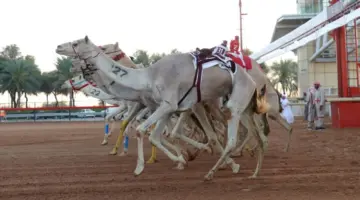 ختامي المرموم يؤكد صدارة دبي في تنظيم الفعاليات الكبرى
